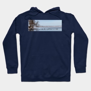 Jetty of Geese Hoodie